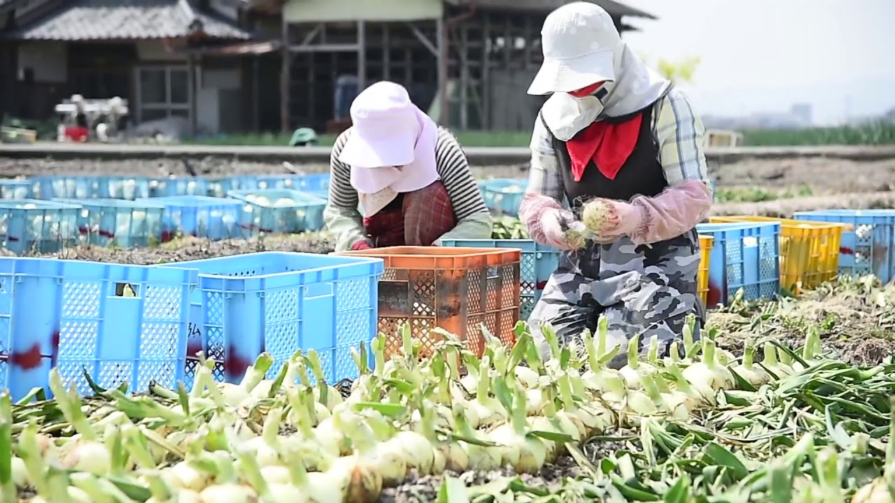 Tuyển 18 nam & nữ nông nghiệp